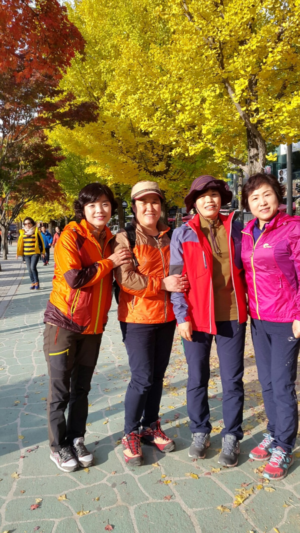 d110025b4f70c6252e916d93265cfc4c_1449404