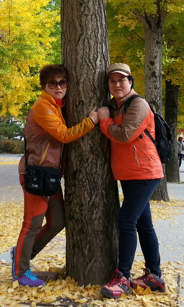 d110025b4f70c6252e916d93265cfc4c_1449405