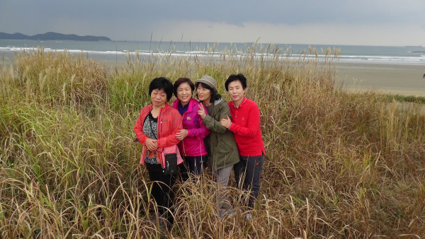 d110025b4f70c6252e916d93265cfc4c_1449405