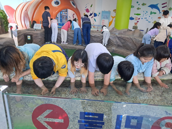 dbe466b43aae6590ad6d0d6723912443_1749041