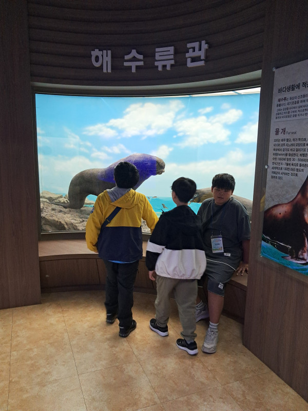 dbe466b43aae6590ad6d0d6723912443_1749041