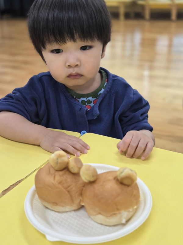 99a05760f49e69bcdc37b8ab20db2b4f_1776598