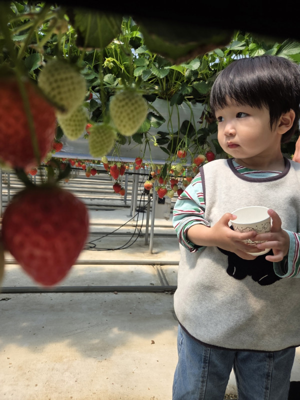 9f734da5ad294f832cd2198f9be8e6aa_1775888