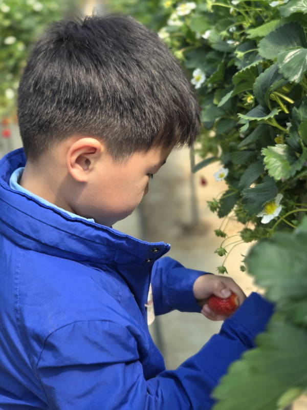 9f734da5ad294f832cd2198f9be8e6aa_1775888