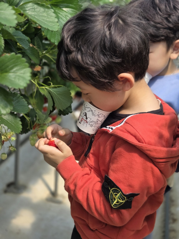 9f734da5ad294f832cd2198f9be8e6aa_1775888