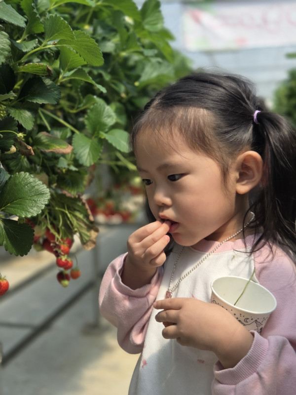 9f734da5ad294f832cd2198f9be8e6aa_1775888